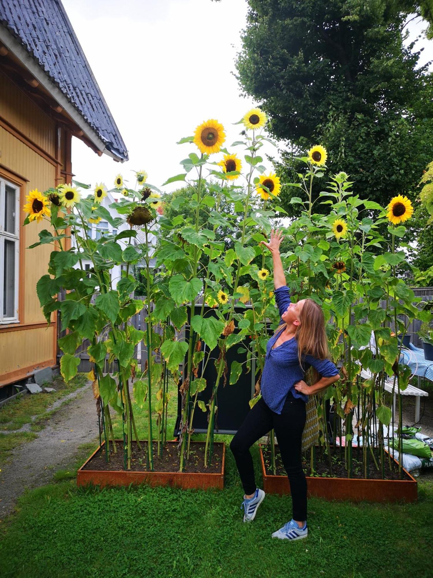 Fredrikstad Cicignon, Peaceful But Central With Garden, Parking And Long Stay Facilities Екстериор снимка